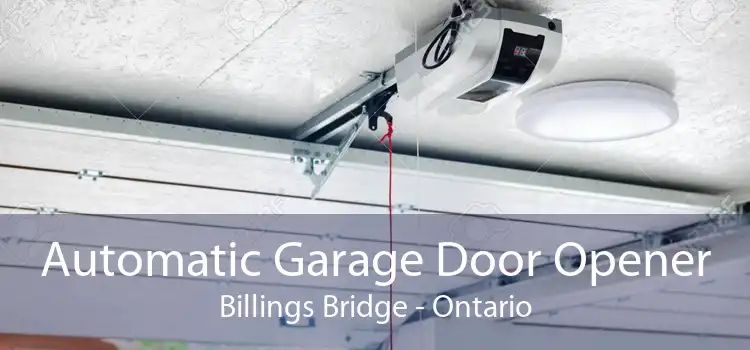Automatic Garage Door Opener Billings Bridge - Ontario