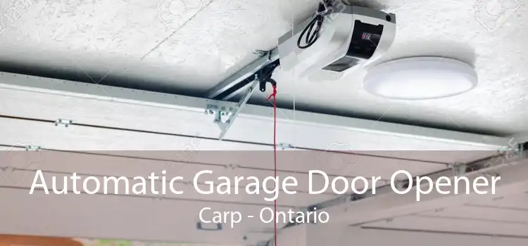 Automatic Garage Door Opener Carp - Ontario