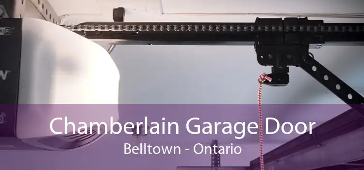 Chamberlain Garage Door Belltown - Ontario