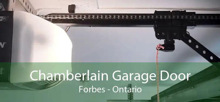 Chamberlain Garage Door Forbes - Ontario