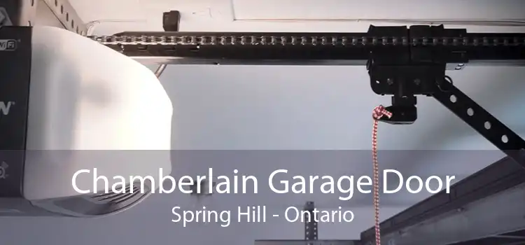 Chamberlain Garage Door Spring Hill - Ontario