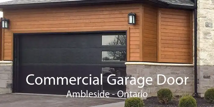 Commercial Garage Door Ambleside - Ontario