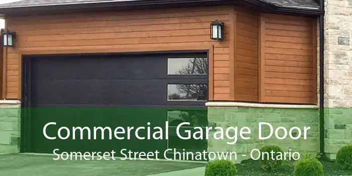 Commercial Garage Door Somerset Street Chinatown - Ontario