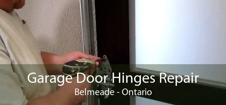 Garage Door Hinges Repair Belmeade - Ontario