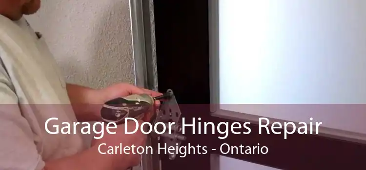 Garage Door Hinges Repair Carleton Heights - Ontario