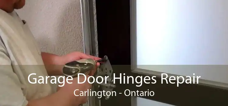 Garage Door Hinges Repair Carlington - Ontario