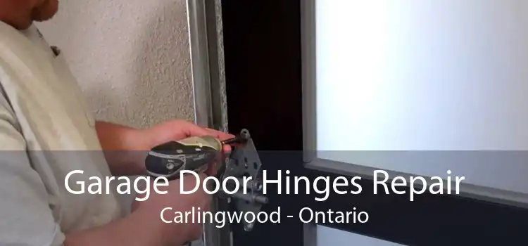 Garage Door Hinges Repair Carlingwood - Ontario