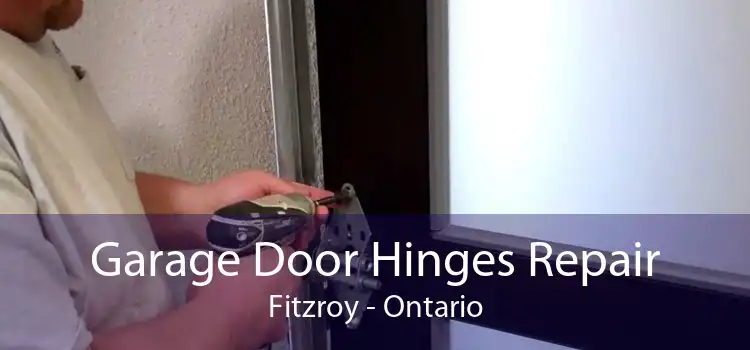Garage Door Hinges Repair Fitzroy - Ontario