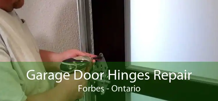 Garage Door Hinges Repair Forbes - Ontario