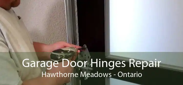 Garage Door Hinges Repair Hawthorne Meadows - Ontario