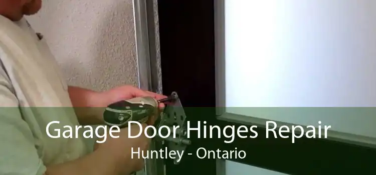 Garage Door Hinges Repair Huntley - Ontario