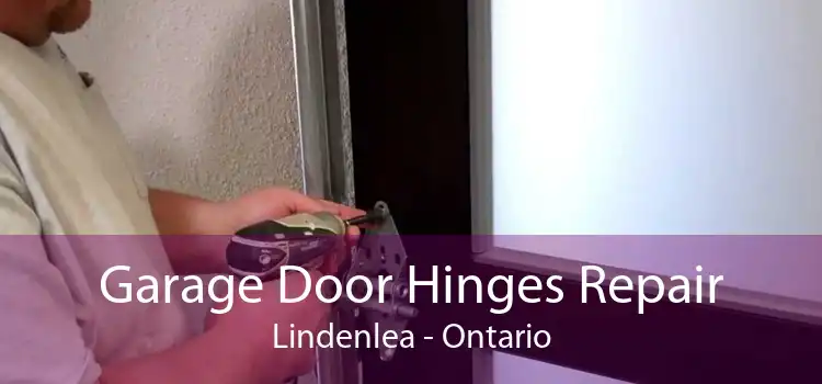 Garage Door Hinges Repair Lindenlea - Ontario