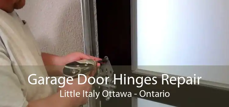 Garage Door Hinges Repair Little Italy Ottawa - Ontario