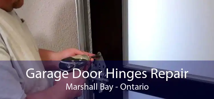 Garage Door Hinges Repair Marshall Bay - Ontario