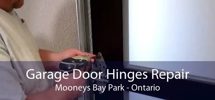 Garage Door Hinges Repair Mooneys Bay Park - Ontario