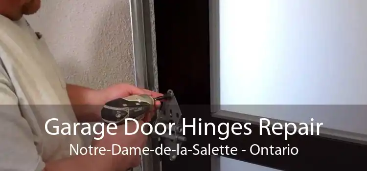Garage Door Hinges Repair Notre-Dame-de-la-Salette - Ontario