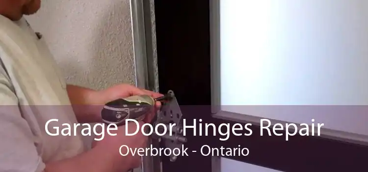 Garage Door Hinges Repair Overbrook - Ontario