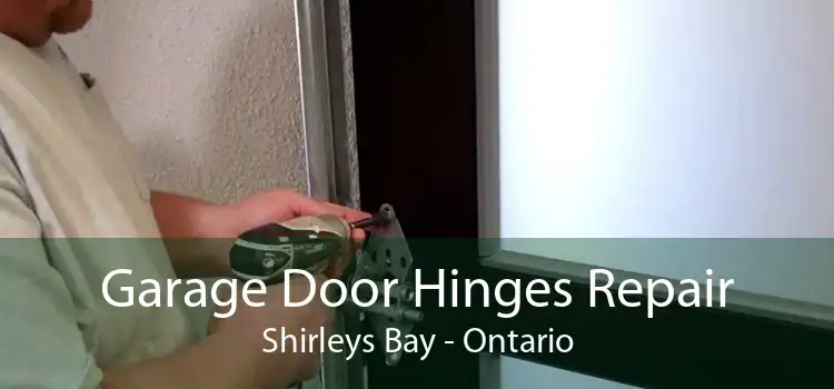 Garage Door Hinges Repair Shirleys Bay - Ontario