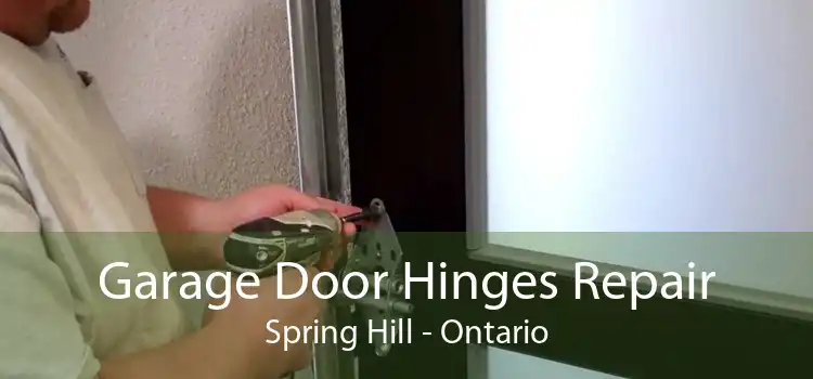 Garage Door Hinges Repair Spring Hill - Ontario