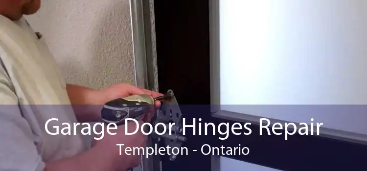 Garage Door Hinges Repair Templeton - Ontario
