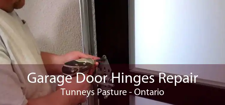 Garage Door Hinges Repair Tunneys Pasture - Ontario
