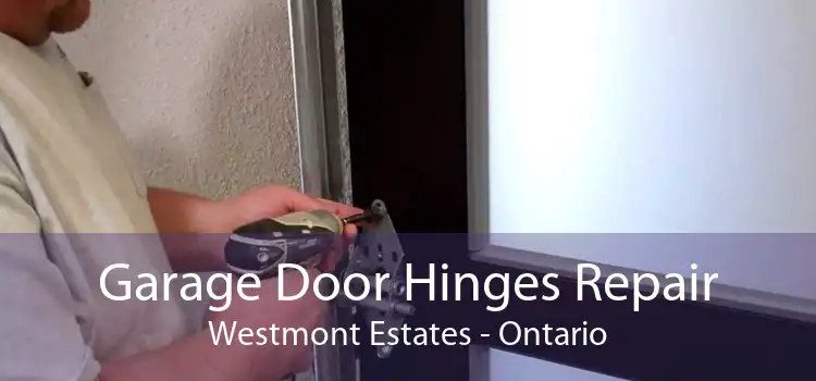 Garage Door Hinges Repair Westmont Estates - Ontario