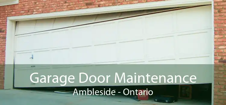 Garage Door Maintenance Ambleside - Ontario