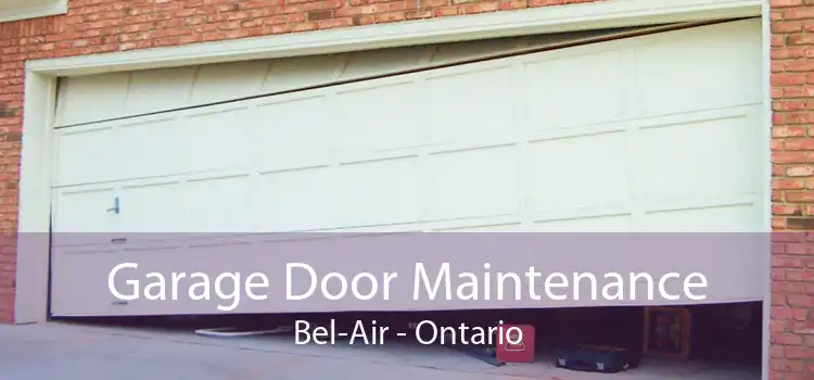 Garage Door Maintenance Bel-Air - Ontario
