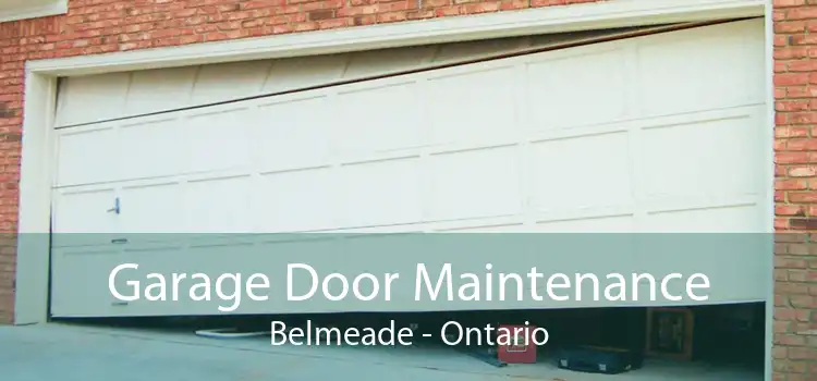 Garage Door Maintenance Belmeade - Ontario