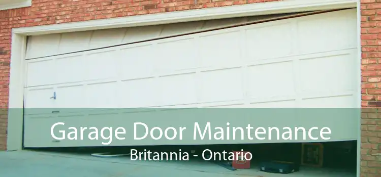 Garage Door Maintenance Britannia - Ontario
