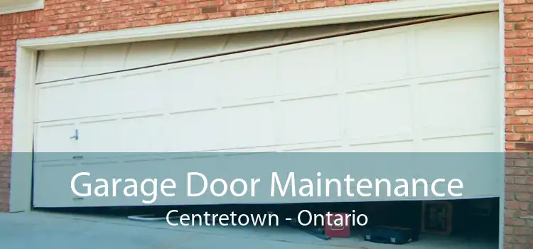 Garage Door Maintenance Centretown - Ontario