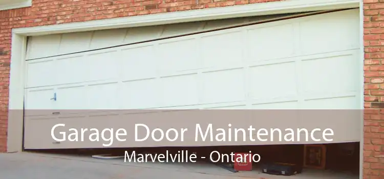 Garage Door Maintenance Marvelville - Ontario