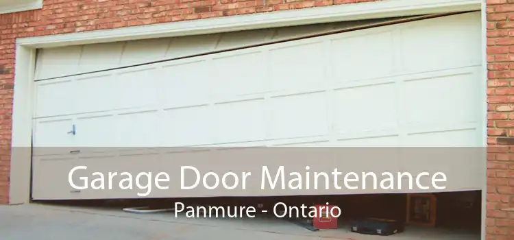 Garage Door Maintenance Panmure - Ontario