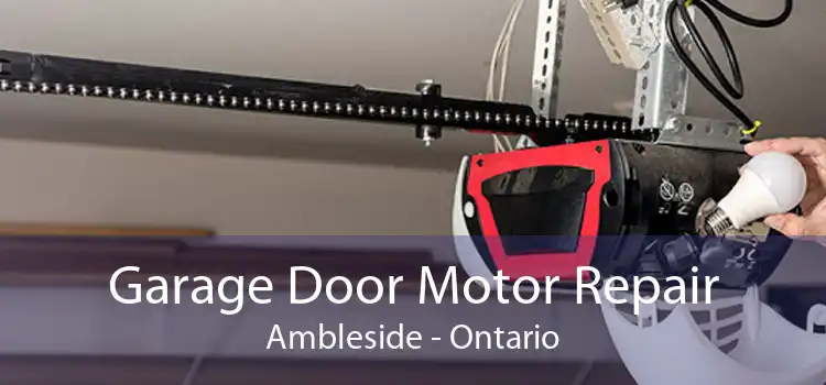 Garage Door Motor Repair Ambleside - Ontario