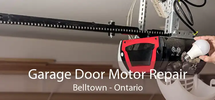 Garage Door Motor Repair Belltown - Ontario