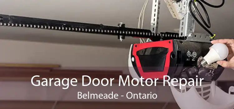 Garage Door Motor Repair Belmeade - Ontario