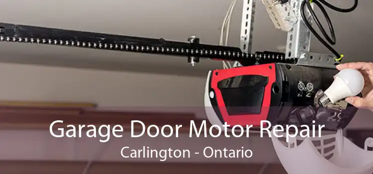 Garage Door Motor Repair Carlington - Ontario