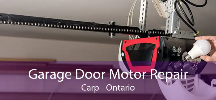 Garage Door Motor Repair Carp - Ontario