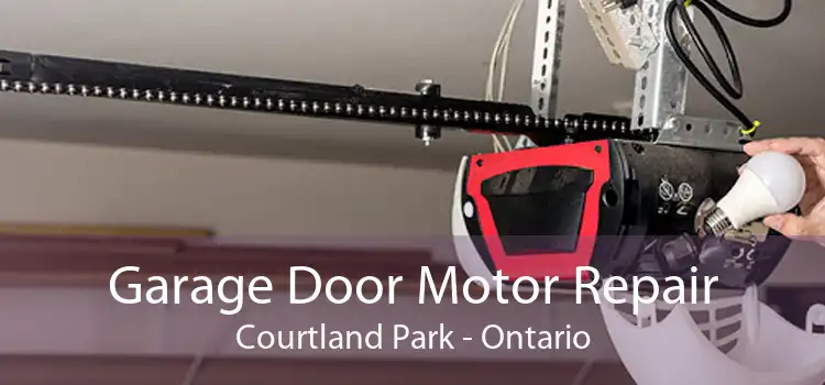 Garage Door Motor Repair Courtland Park - Ontario