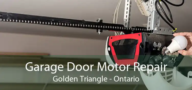Garage Door Motor Repair Golden Triangle - Ontario