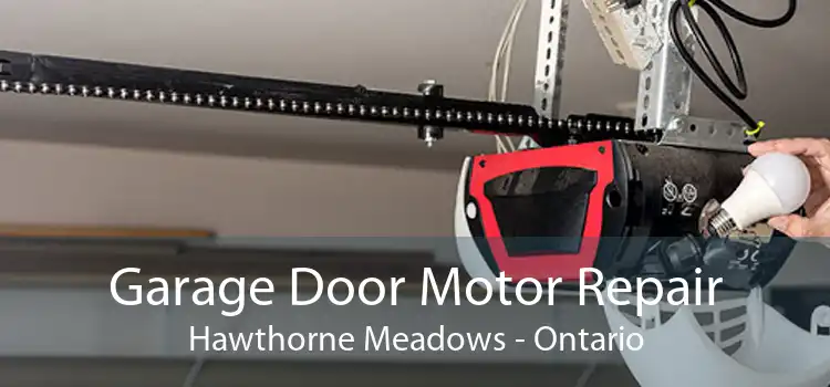 Garage Door Motor Repair Hawthorne Meadows - Ontario
