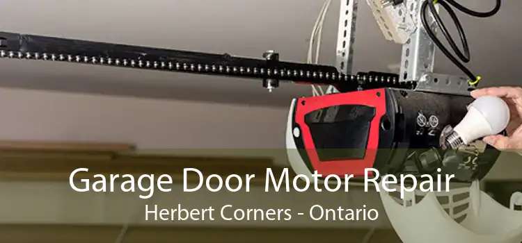 Garage Door Motor Repair Herbert Corners - Ontario