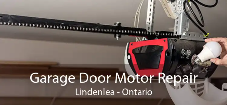Garage Door Motor Repair Lindenlea - Ontario