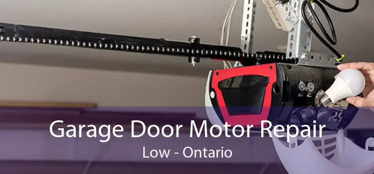 Garage Door Motor Repair Low - Ontario