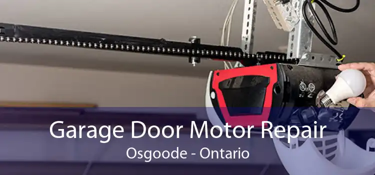 Garage Door Motor Repair Osgoode - Ontario