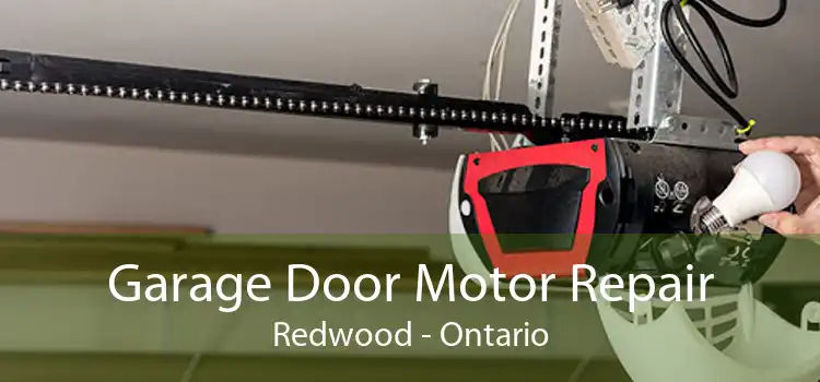 Garage Door Motor Repair Redwood - Ontario