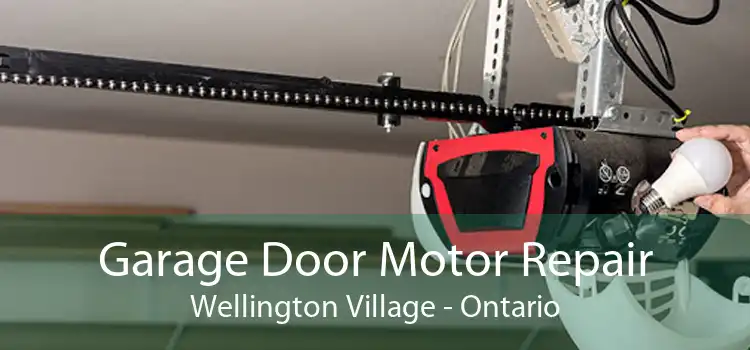 Garage Door Motor Repair Wellington Village - Ontario