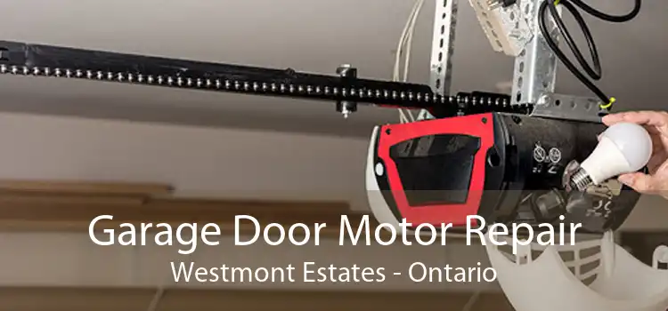 Garage Door Motor Repair Westmont Estates - Ontario