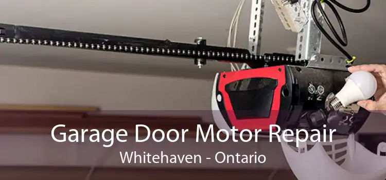 Garage Door Motor Repair Whitehaven - Ontario