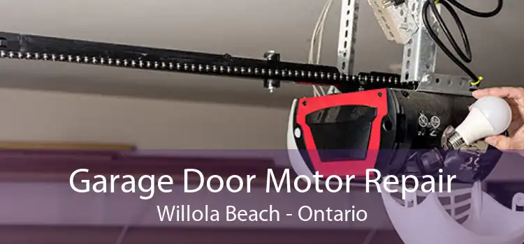 Garage Door Motor Repair Willola Beach - Ontario